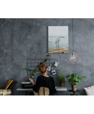 Czapla - obraz na płótnie