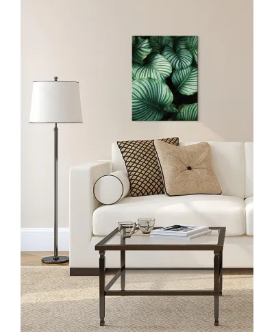 Liście Kalatea Okrągłolistna - obraz na płótnie