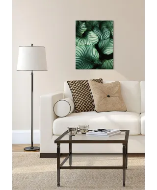 Liście Kalatea Okrągłolistna - obraz na płótnie