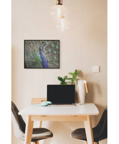 Majestatyczny Paw - plakat