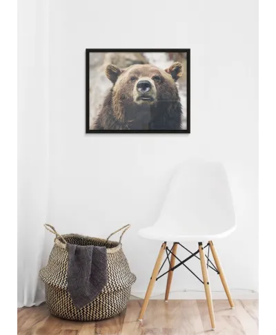 Niedźwiedź - plakat