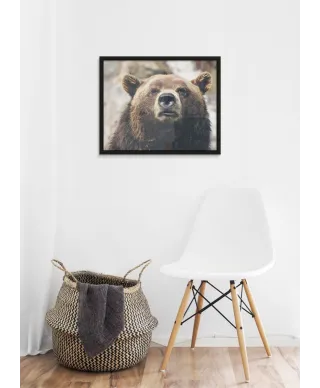 Niedźwiedź - plakat