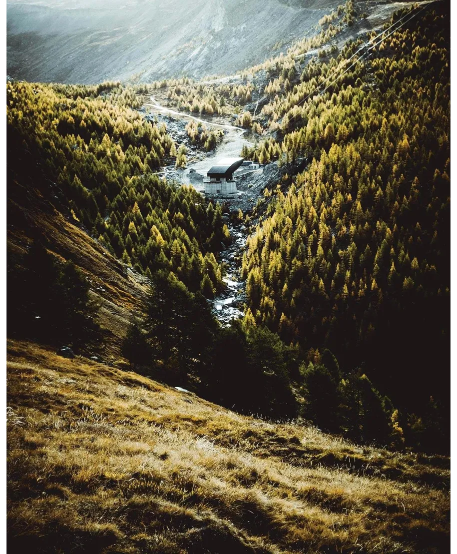 Zielone Wzgórza - plakat