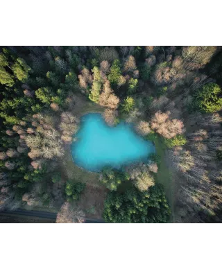 Leśne jezioro - plakat