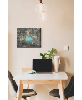 Leśne jezioro - plakat