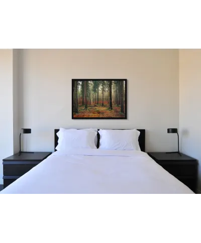 Zamglony Las - plakat