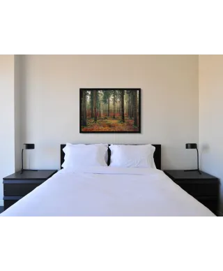 Zamglony Las - plakat