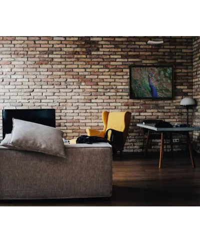 Majestatyczny Paw - plakat