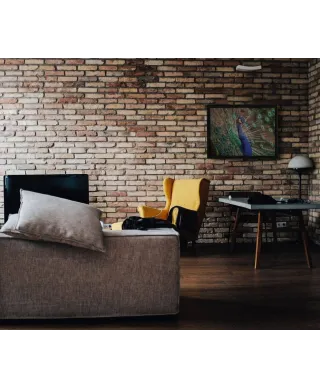 Majestatyczny Paw - plakat