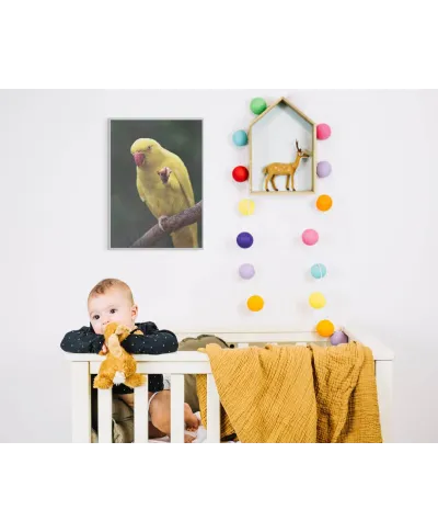 Żółta Papuga - plakat