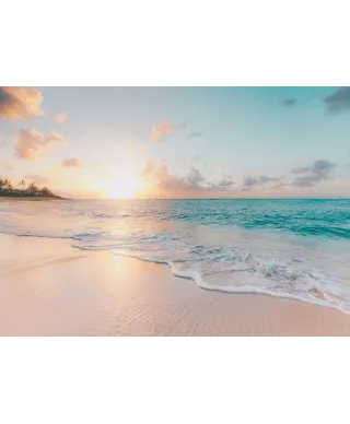 Północne wybrzeże - plakat