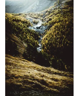 Zielone Wzgórza - plakat