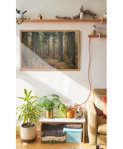 Zamglony Las - plakat