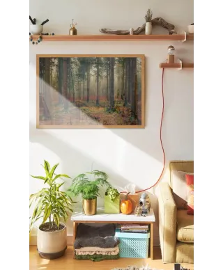 Zamglony Las - plakat