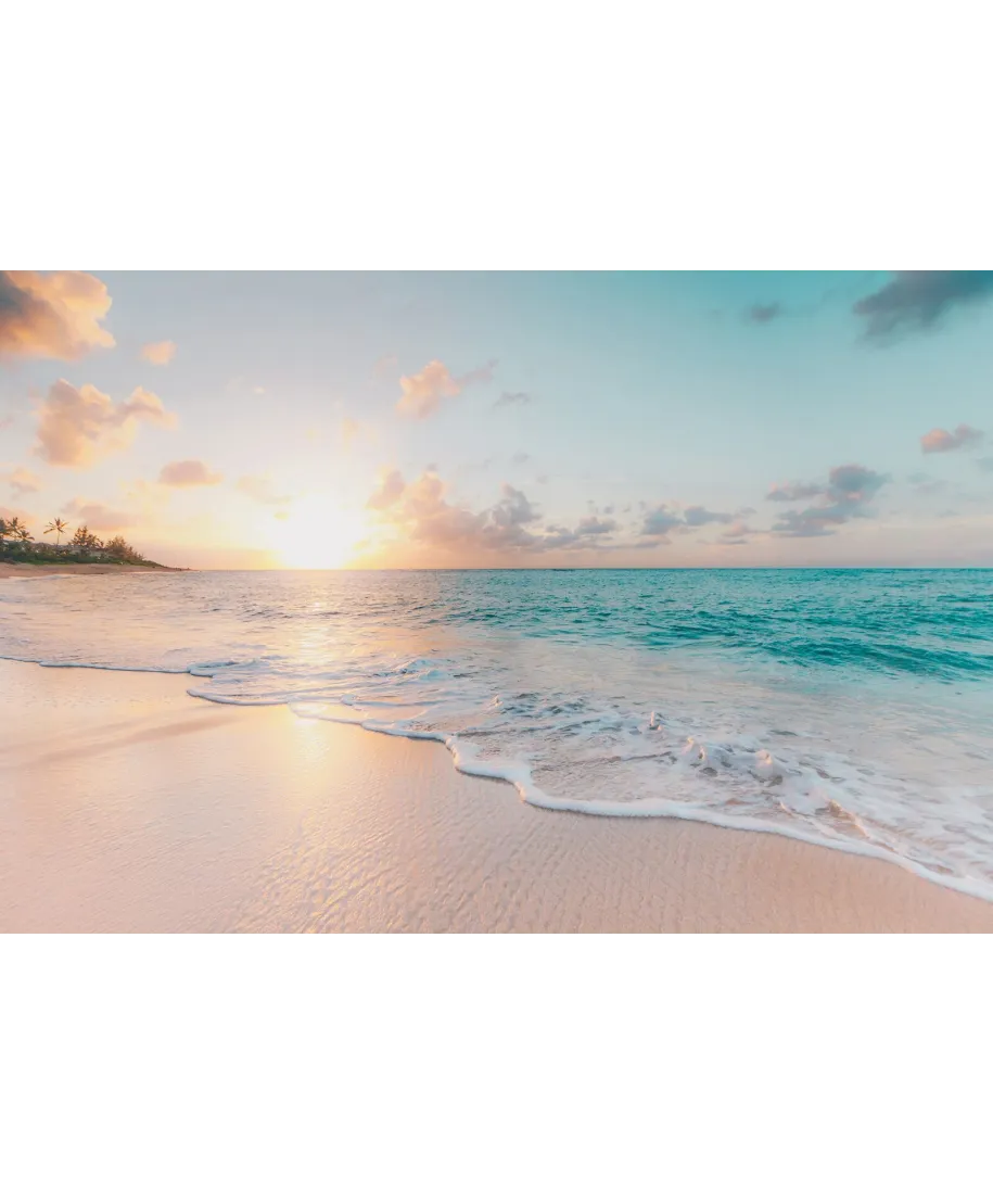 Północne wybrzeże - plakat