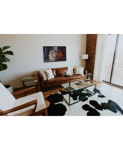 Wścibska sowa - plakat