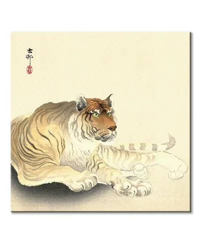 Tiger - obraz na płótnie