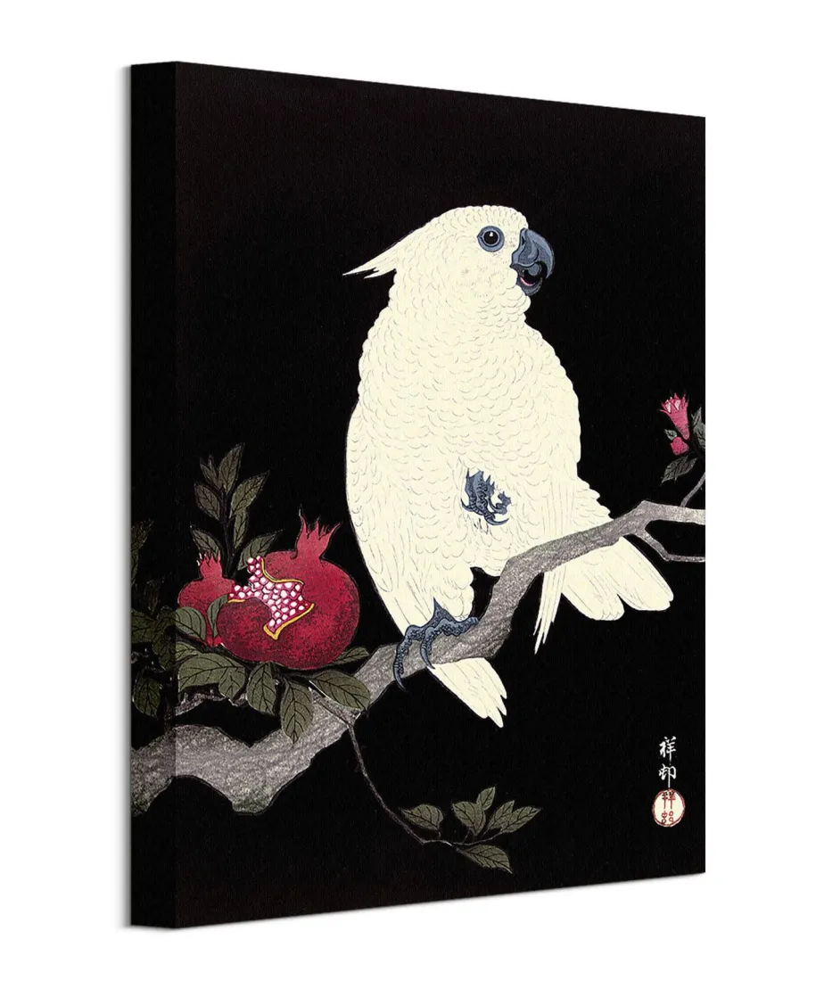 Cockatoo and Pomegranate - obraz na płótnie