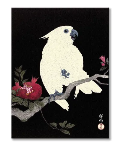 Cockatoo and Pomegranate - obraz na płótnie