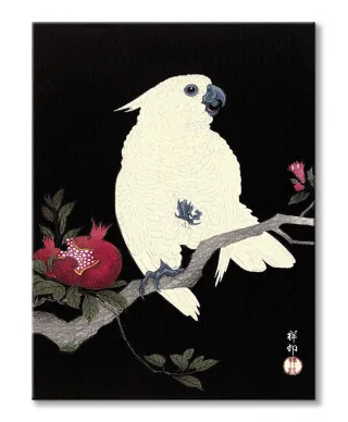 Cockatoo and Pomegranate - obraz na płótnie