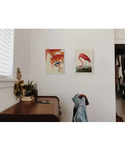 American Flamingo - obraz na płótnie