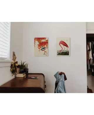 American Flamingo - obraz na płótnie