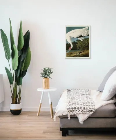 Hooping Crane - obraz na płótnie