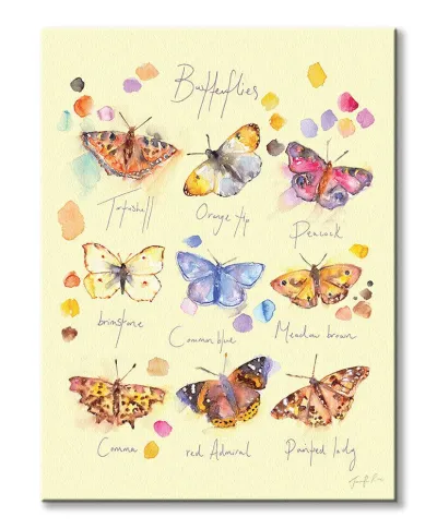Butterflies - obraz na płótnie