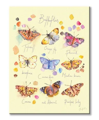 Butterflies - obraz na płótnie