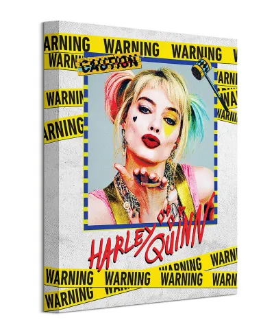 Birds Of Prey Harley Quinn Warning - obraz na płótnie