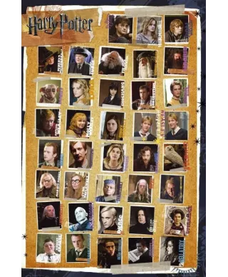 Harry Potter 7 Characters - plakat