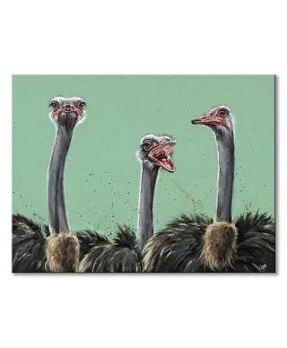 Strusie - obraz na płótnie