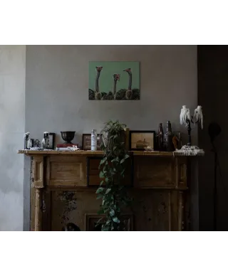 Strusie - obraz na płótnie