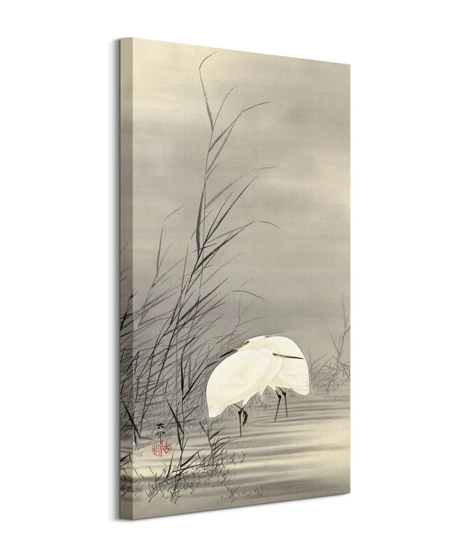 Egrets in a Swamp - obraz na płótnie