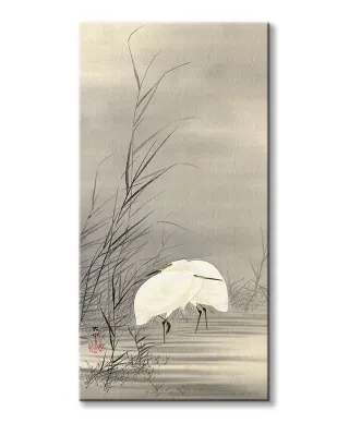 Egrets in a Swamp - obraz na płótnie