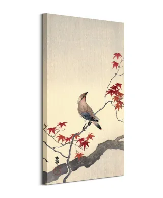 Japanese Waxwing on Maple - obraz na płótnie