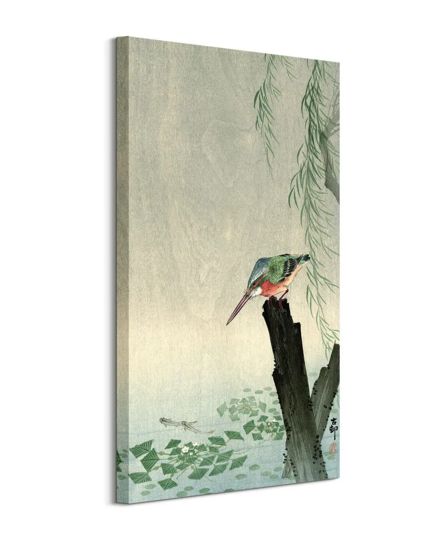 Zimorodek - obraz na płótnie