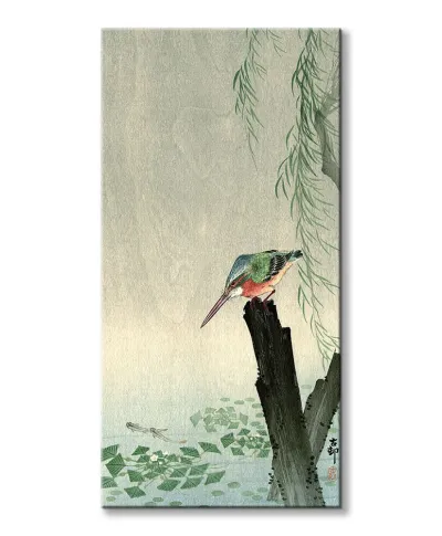 Zimorodek - obraz na płótnie