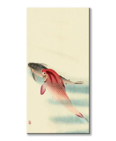 Karpie Koi - obraz na płótnie