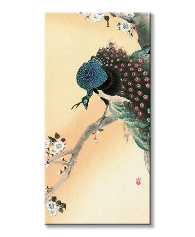 Peacock on a Cherry Blossom Tree - obraz na płótnie