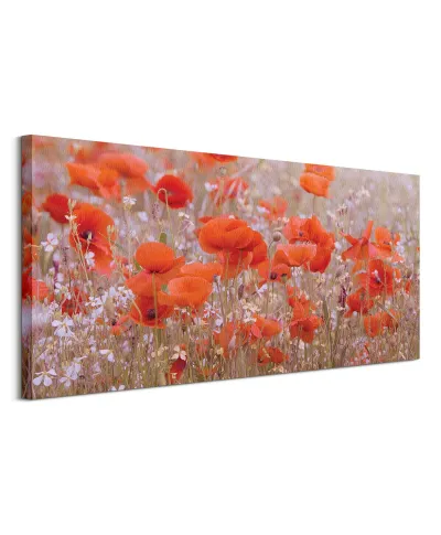 Poppy Meadow - obraz na płótnie
