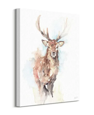 Misty Morning - obraz na płótnie