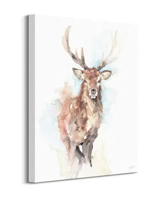 Misty Morning - obraz na płótnie