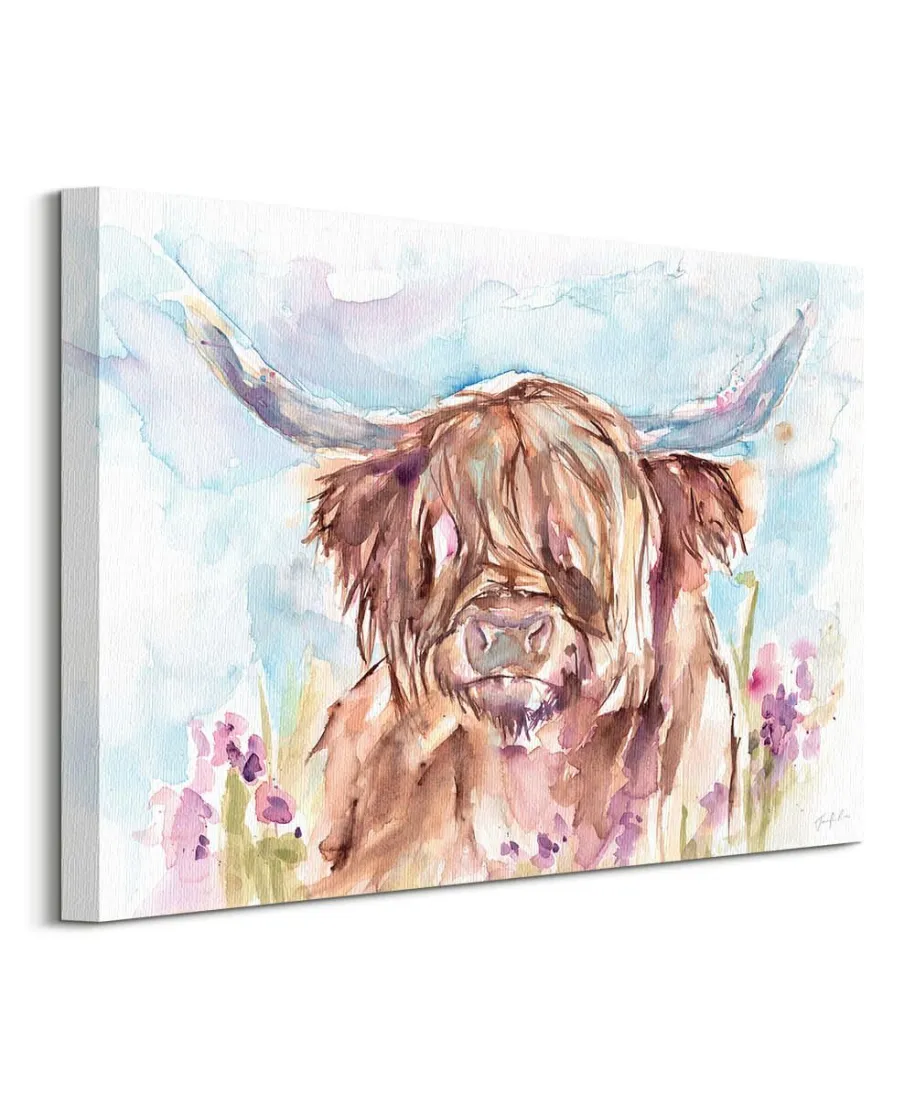 Highland Cow - obraz na płótnie