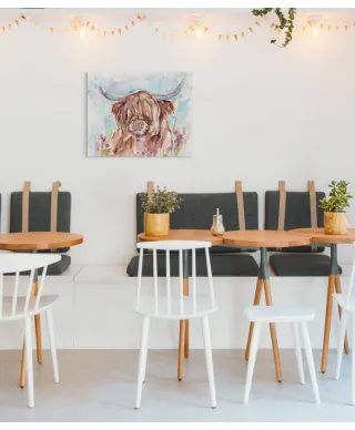 Highland Cow - obraz na płótnie