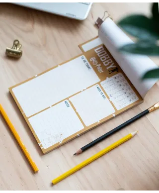 Harry Potter Dobby - planer dzienny A5