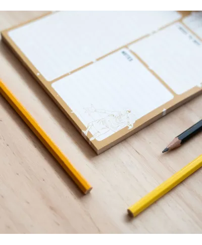 Harry Potter Dobby - planer dzienny A5