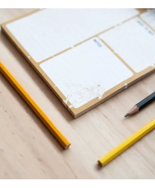 Harry Potter Dobby - planer dzienny A5