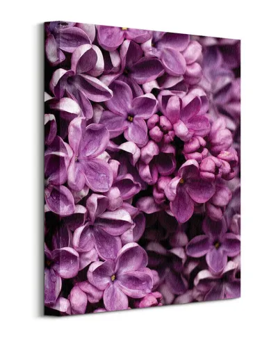 Kwiaty Bzu - Obraz na płótnie