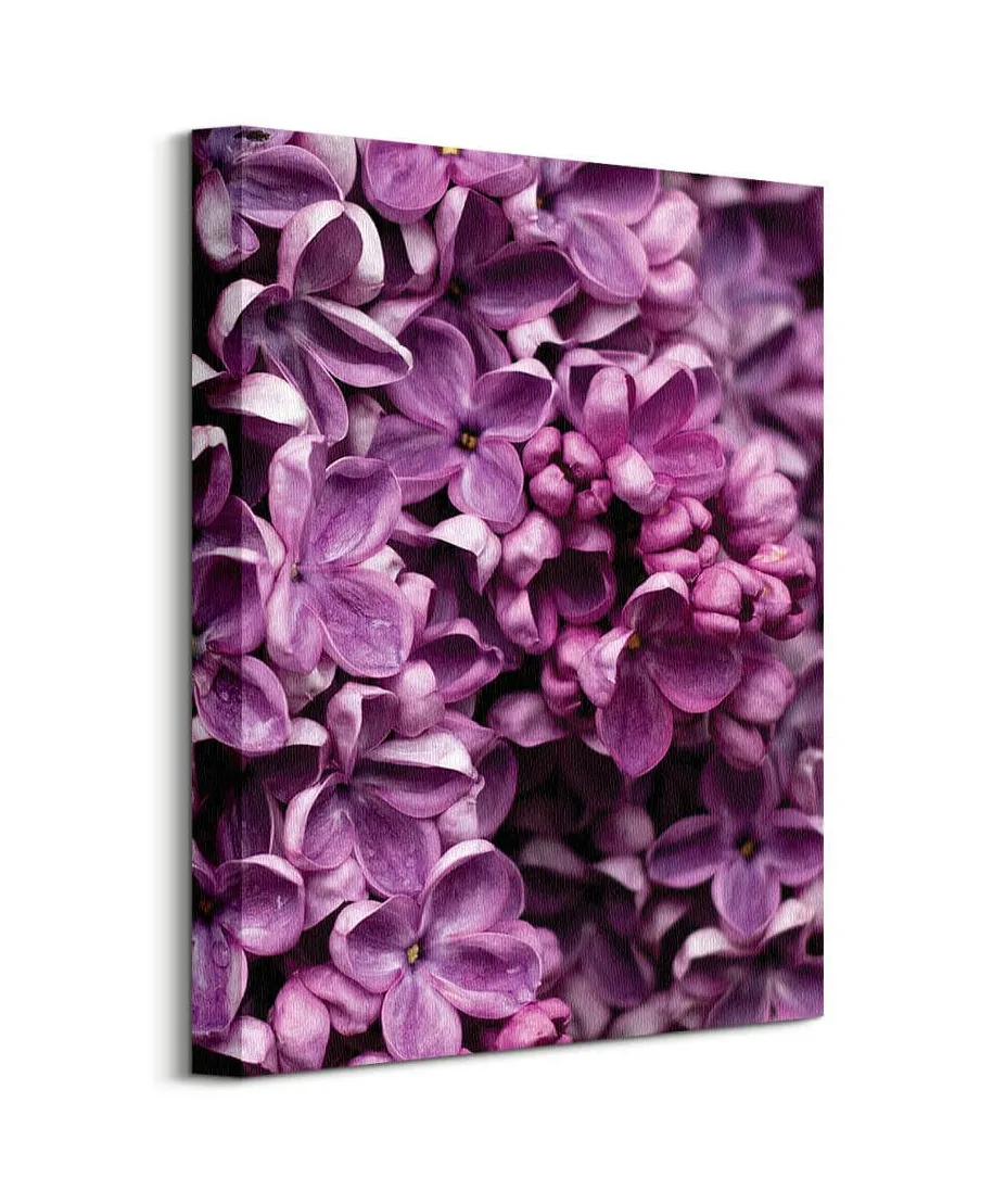 Kwiaty Bzu - Obraz na płótnie